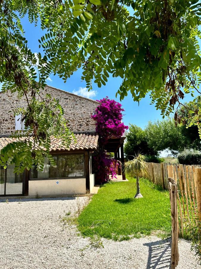Grand Studio A 5Mns De La Plage Des Salins Hyères Zewnętrze zdjęcie